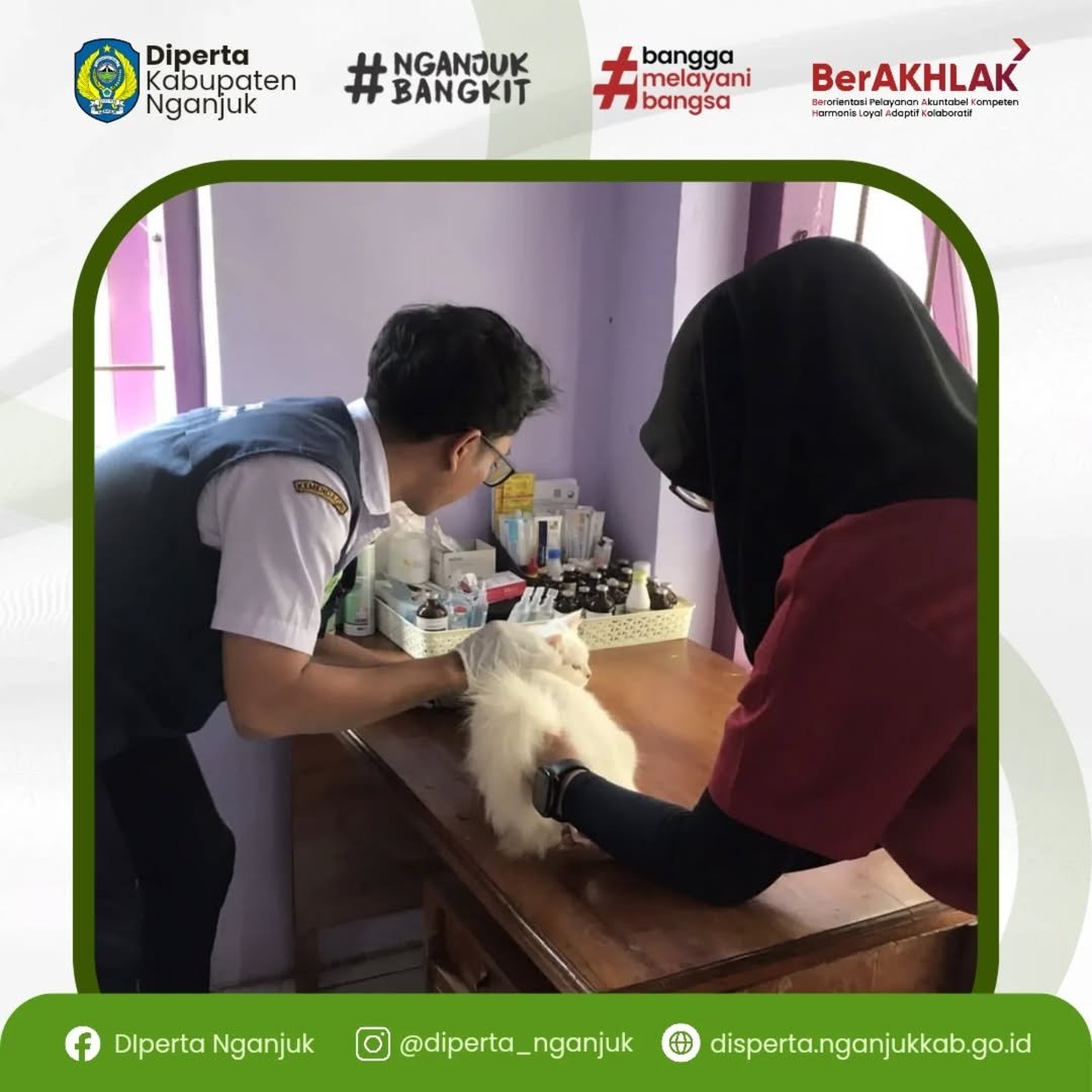 Konsultasi Kesehatan Hewan